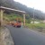 Un drum de nici 2 kilometri din Florești până la Mănăstirea Tăuți a fost asfaltat într-o săptămână!