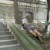 Un tânăr s-a spânzurat în centrul Clujului după ce a plecat de la Untold Festival