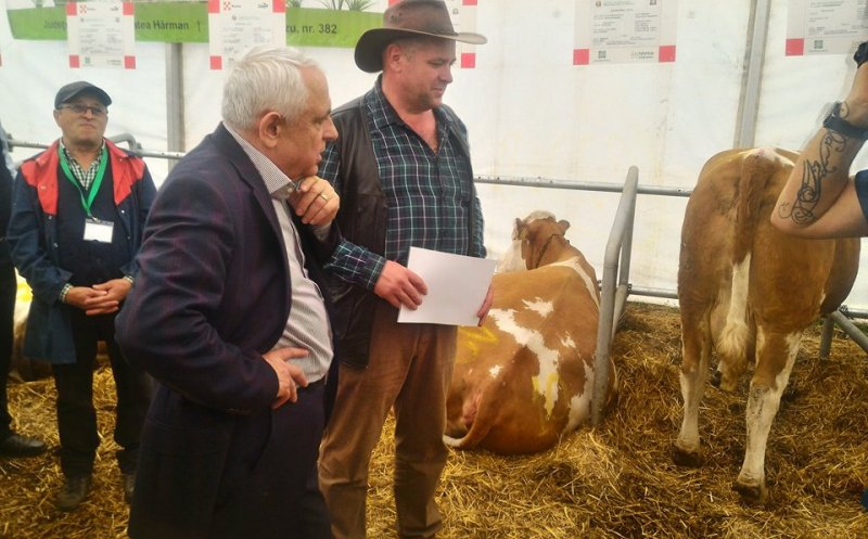 Ministrul Agriculturii, Petre Daea, a făcut spectacol la Agraria în Jucu: a hrănit animale, a mâncat „oaie la groapă” și a primit un tablou cu o văcuță