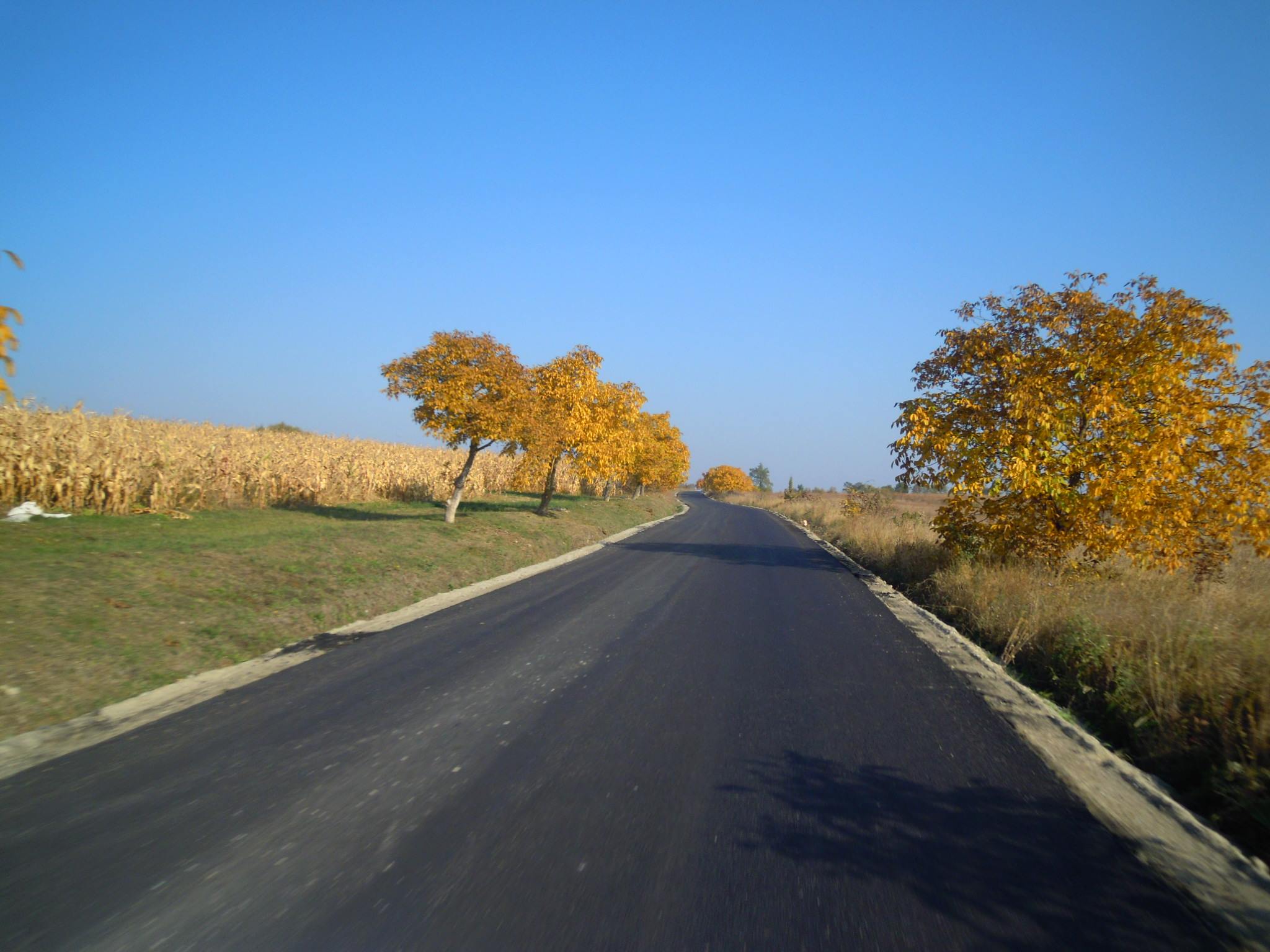 Au fost finalizate lucrările de asfaltare pe drumul județean 109V Pădureni – Satu Lung