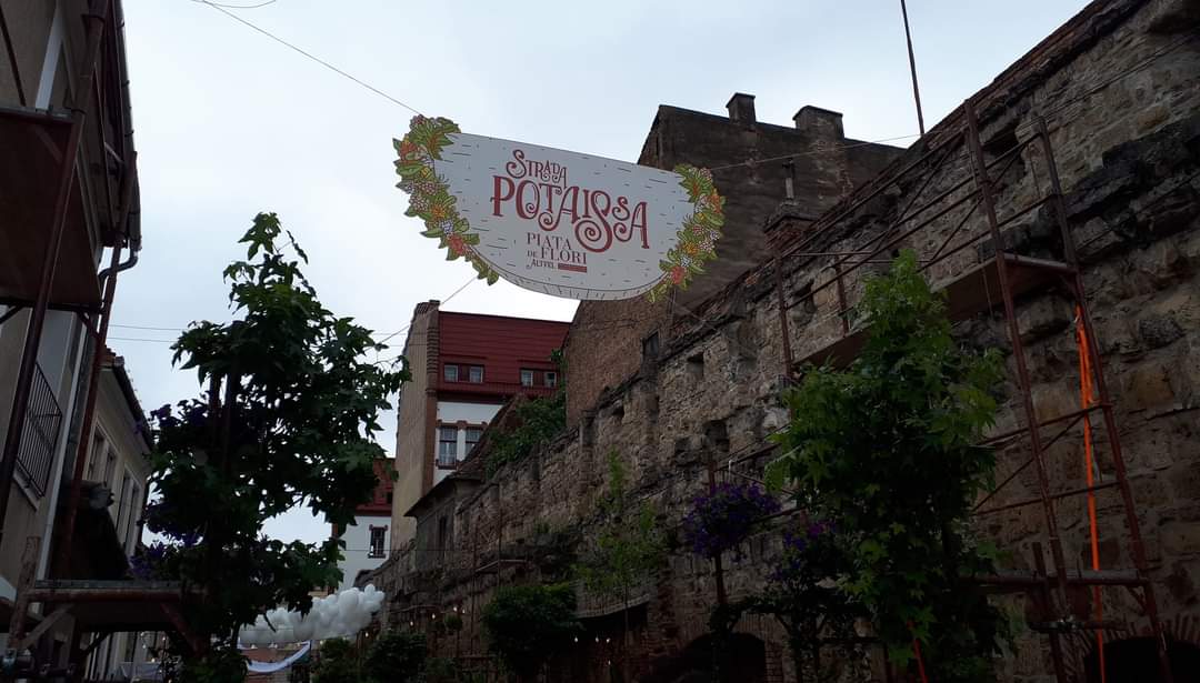 Buchete de trandafiri, mușcate, Gingko biloba și mur la ghiveci, cireșe și vinuri albe din producția proprie, în oferta USAMV Cluj-Napoca la evenimentul „Strada Potaissa – Piața de flori altfel”