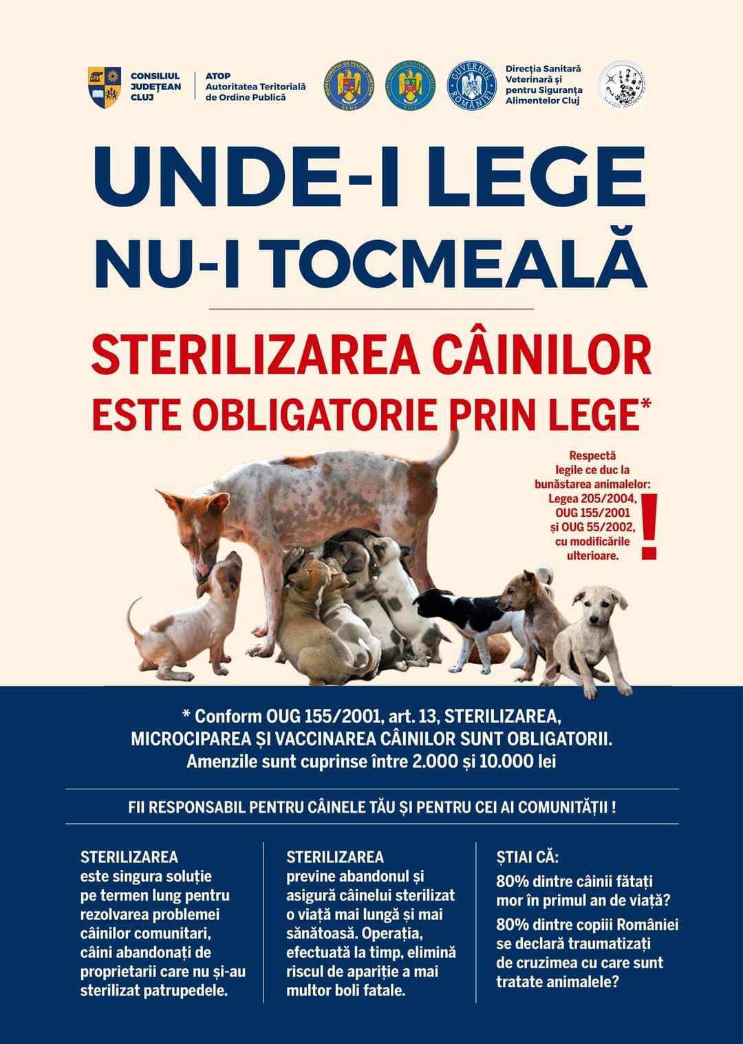 S-a dat startul campaniei de informare pentru reducerea numărului de câini fără stăpân și obligativitatea sterilizării